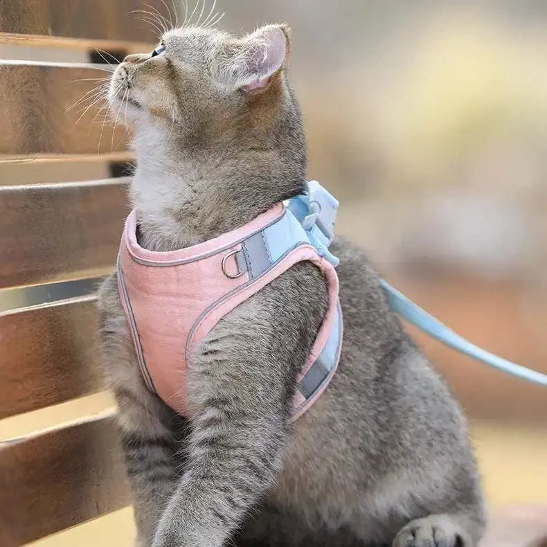 Escape-Proof Cat Harness & Leash Set – Safe Outdoor Adventures