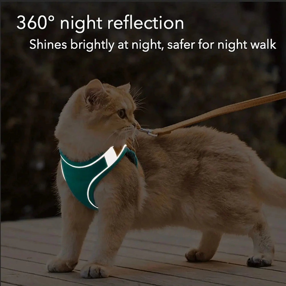 Escape-Proof Cat Harness & Leash Set – Safe Outdoor Adventures