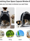 Transparent Space Capsule Pet Backpack – Stress-Free Travel for Cats & Small Dogs