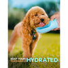 Portable Leak-Proof Pet Water Bottle – Hydration + Snack Bowl in One