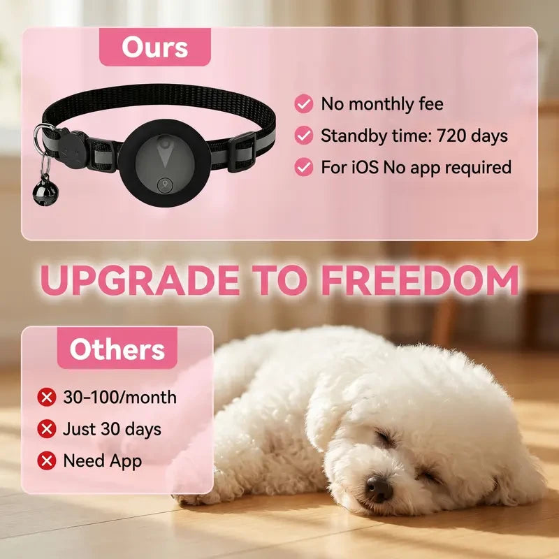 Smart Pet GPS Tracker – Real-Time Location, No Monthly Fees