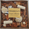 Campfire in the Woods Bird Foraging Toy Box – Enrichment Puzzle Toy for Parrots