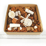 Campfire in the Woods Bird Foraging Toy Box – Enrichment Puzzle Toy for Parrots