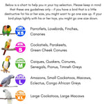Campfire in the Woods Bird Foraging Toy Box – Enrichment Puzzle Toy for Parrots