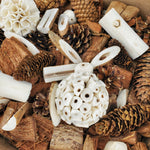 Campfire in the Woods Bird Foraging Toy Box – Enrichment Puzzle Toy for Parrots