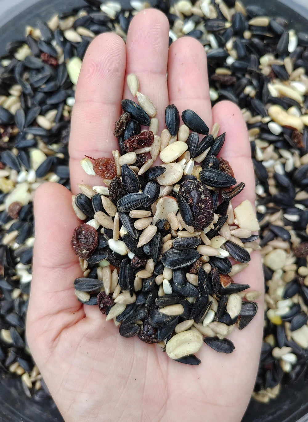 Nut Berry Fruit Gourmet Birdseed Blend – Premium Wild Bird Food Mix