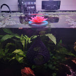 Floating Lily Flower Fish Tank Decor – Artificial Aquarium Plant Ornament