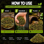 Sphagnum Moss for Reptiles – Natural Substrate for Humidity & Burrowing