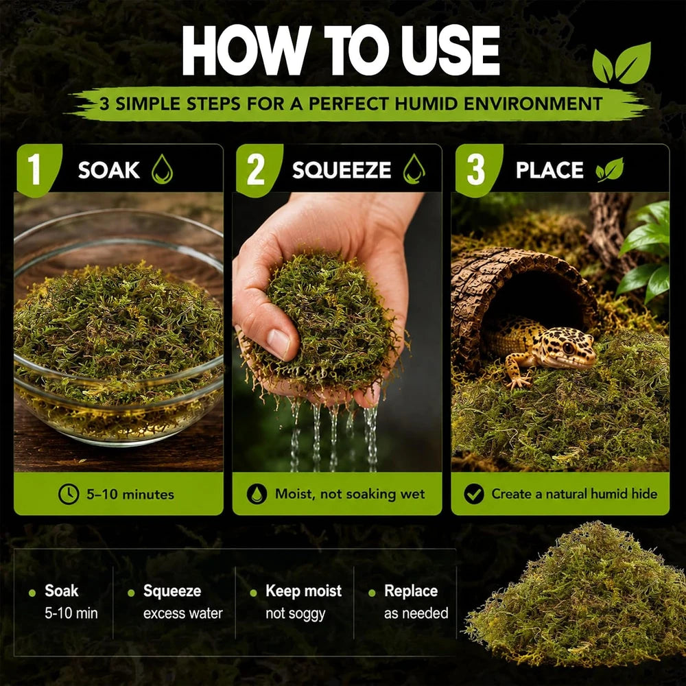 Sphagnum Moss for Reptiles – Natural Substrate for Humidity & Burrowing