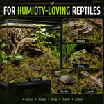 Sphagnum Moss for Reptiles – Natural Substrate for Humidity & Burrowing