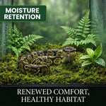 Sphagnum Moss for Reptiles – Natural Substrate for Humidity & Burrowing