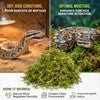 Sphagnum Moss for Reptiles – Natural Substrate for Humidity & Burrowing