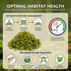 Sphagnum Moss for Reptiles – Natural Substrate for Humidity & Burrowing
