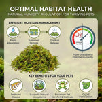 Sphagnum Moss for Reptiles – Natural Substrate for Humidity & Burrowing
