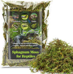 Sphagnum Moss for Reptiles – Natural Substrate for Humidity & Burrowing