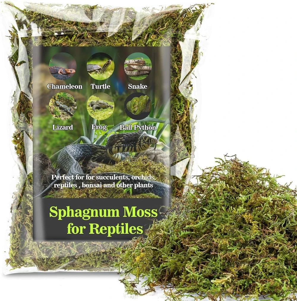 Sphagnum Moss for Reptiles – Natural Substrate for Humidity & Burrowing
