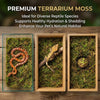 Sphagnum Moss for Reptiles – Natural Substrate for Humidity & Burrowing