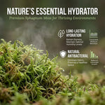 Sphagnum Moss for Reptiles – Natural Substrate for Humidity & Burrowing