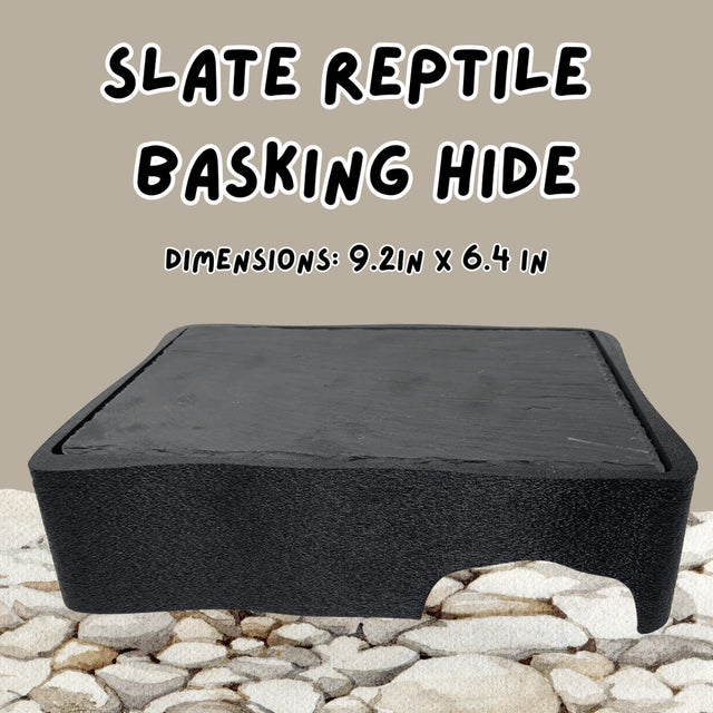 Natural Reptile Slate Basking Platform – Heat-Absorbing Rock for Lizards & Tortoises