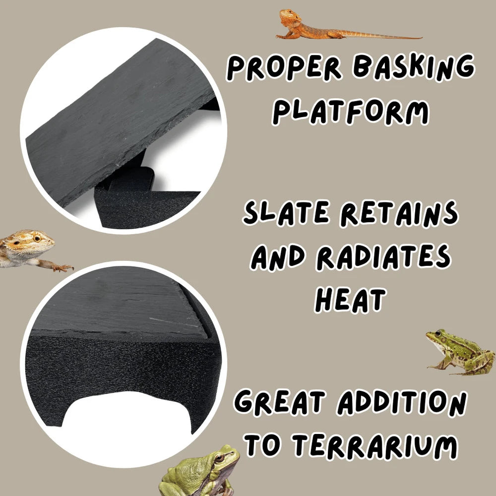 Natural Reptile Slate Basking Platform – Heat-Absorbing Rock for Lizards & Tortoises