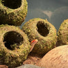 Artificial Moss Reptile Hide Cave – Natural Hideout for Lizards, Snakes & Geckos