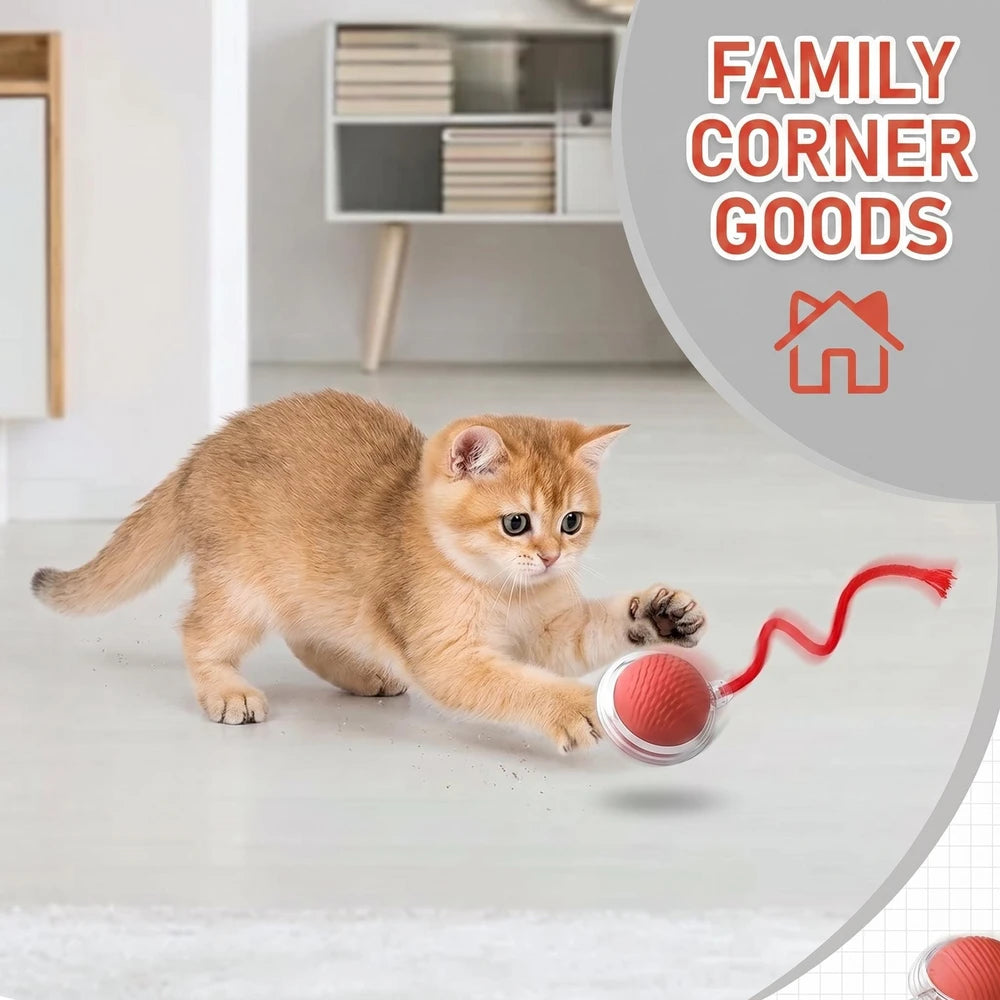 Interactive Rolling Cat Ball Toy – Self-Moving Chase Toy for Indoor Cats