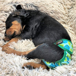 Washable Female Dog Diapers – Reusable, Leak-Proof for Heat & Incontinence.