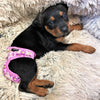 Washable Female Dog Diapers – Reusable, Leak-Proof for Heat & Incontinence.