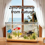 Transparent Desktop Fish Tank – Clear Mini Aquarium for Betta Fish, Shrimp & Home Décor