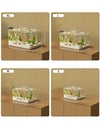 Transparent Desktop Fish Tank – Clear Mini Aquarium for Betta Fish, Shrimp & Home Décor