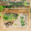 Transparent Desktop Fish Tank – Clear Mini Aquarium for Betta Fish, Shrimp & Home Décor