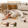 Interactive Cat Chew Rope Toy Set