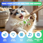 Interactive Cat Chew Rope Toy Set
