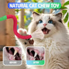 Interactive Cat Chew Rope Toy Set
