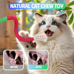 Interactive Cat Chew Rope Toy Set