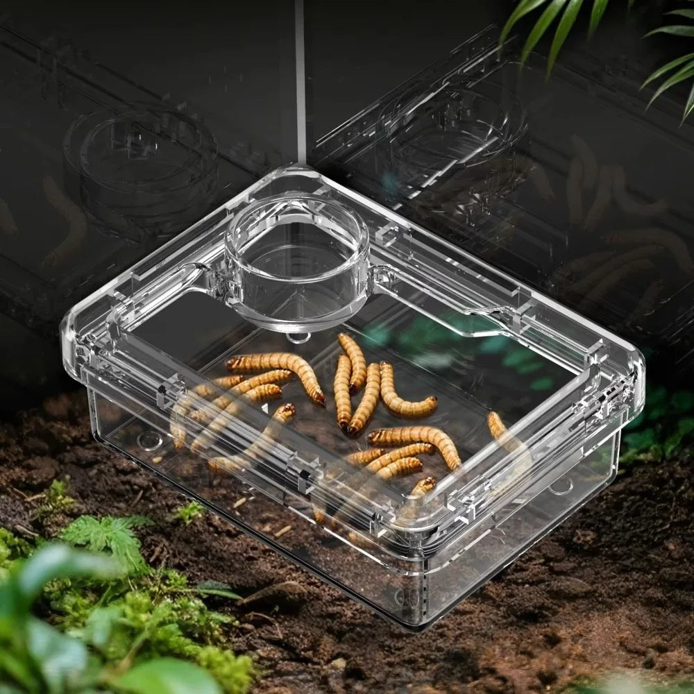 Transparent Reptile Insect Feeding Bowl