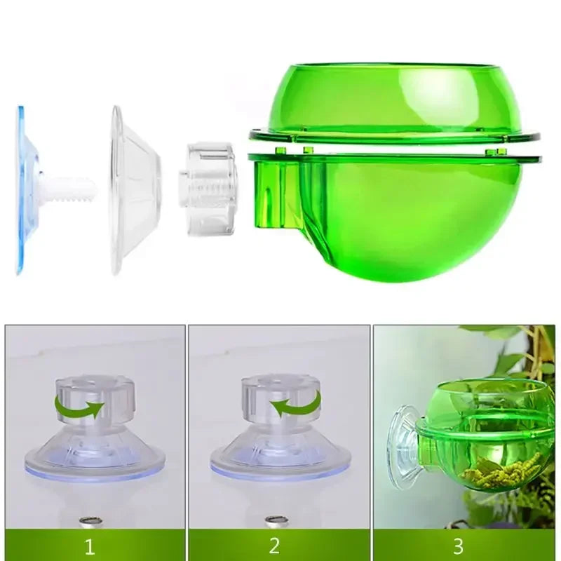 Suction-Cup Reptile Feeding Bowl – Transparent Green