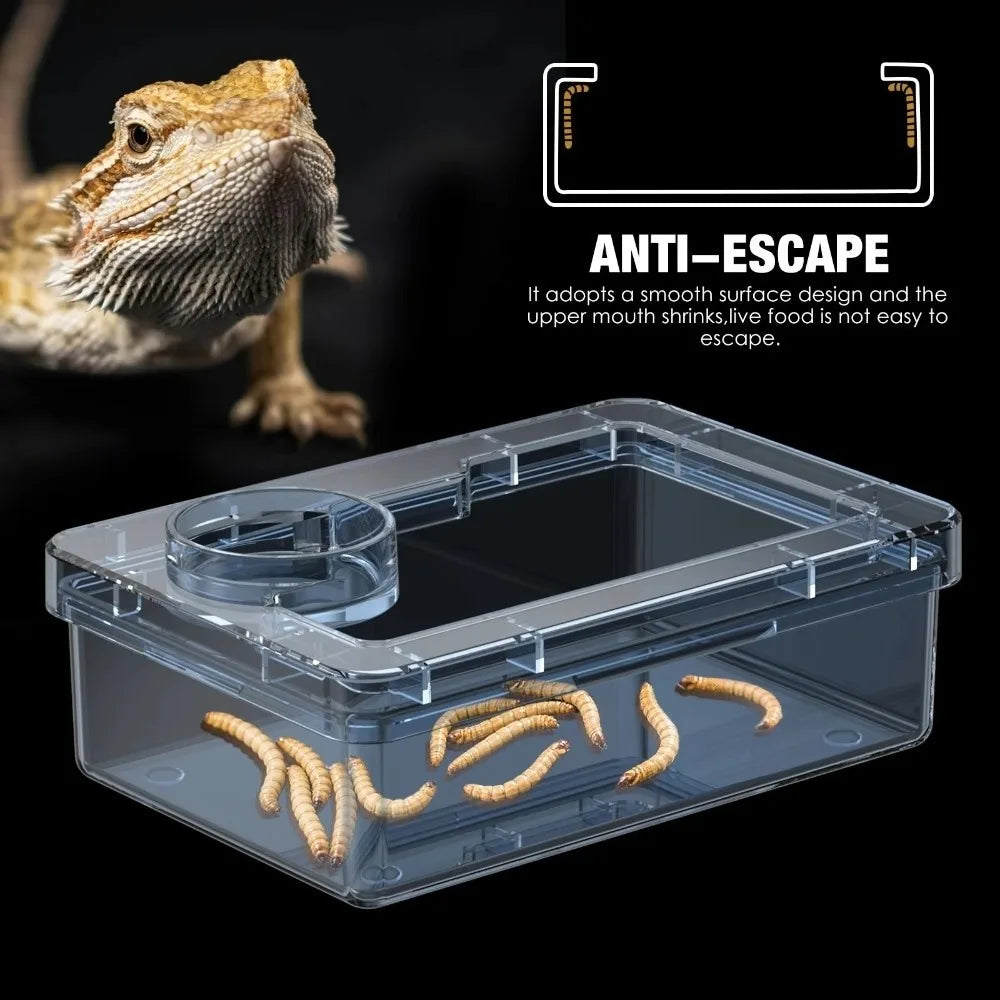 Transparent Reptile Insect Feeding Bowl