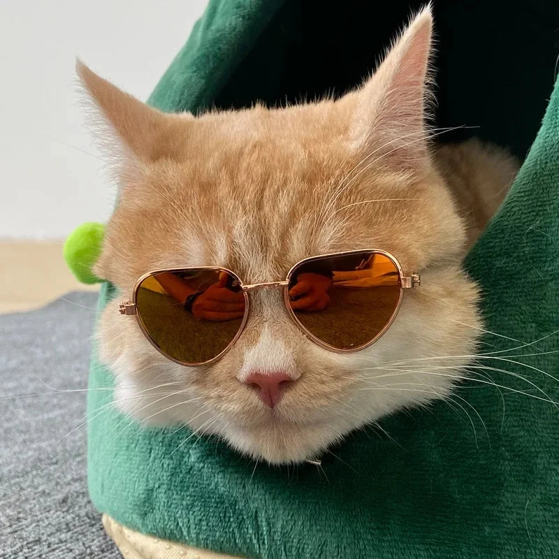 Playful Pet Sunglasses for Cats & Small Dogs