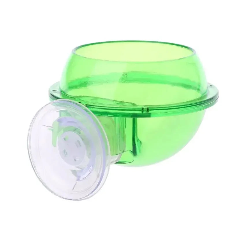 Suction-Cup Reptile Feeding Bowl – Transparent Green