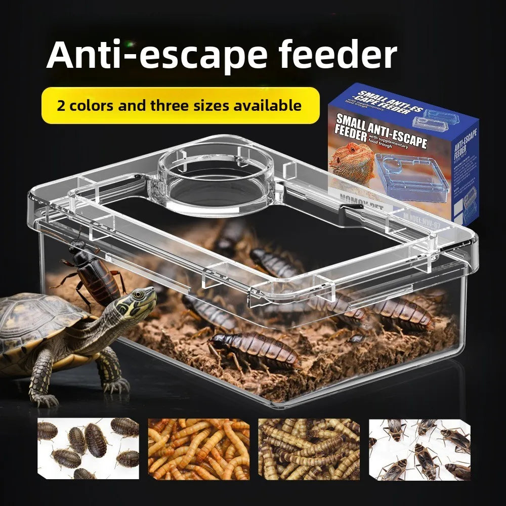 Transparent Reptile Insect Feeding Bowl
