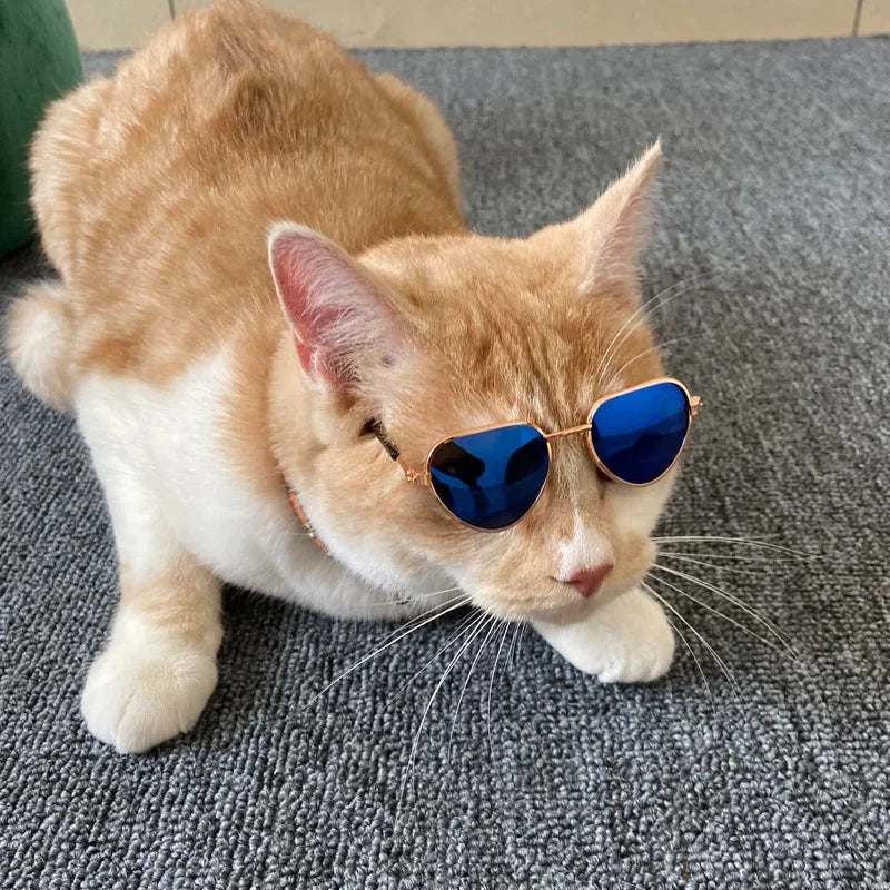 Playful Pet Sunglasses for Cats & Small Dogs