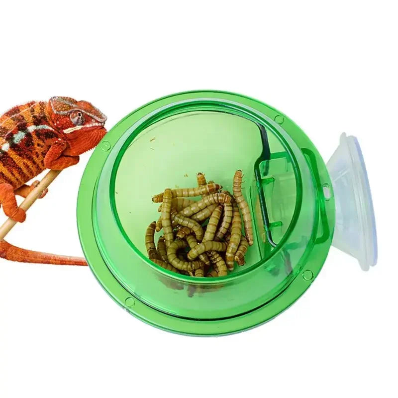 Suction-Cup Reptile Feeding Bowl – Transparent Green