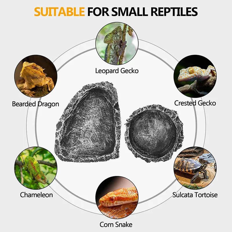 Stone-Look Reptile Food & Water Bowl