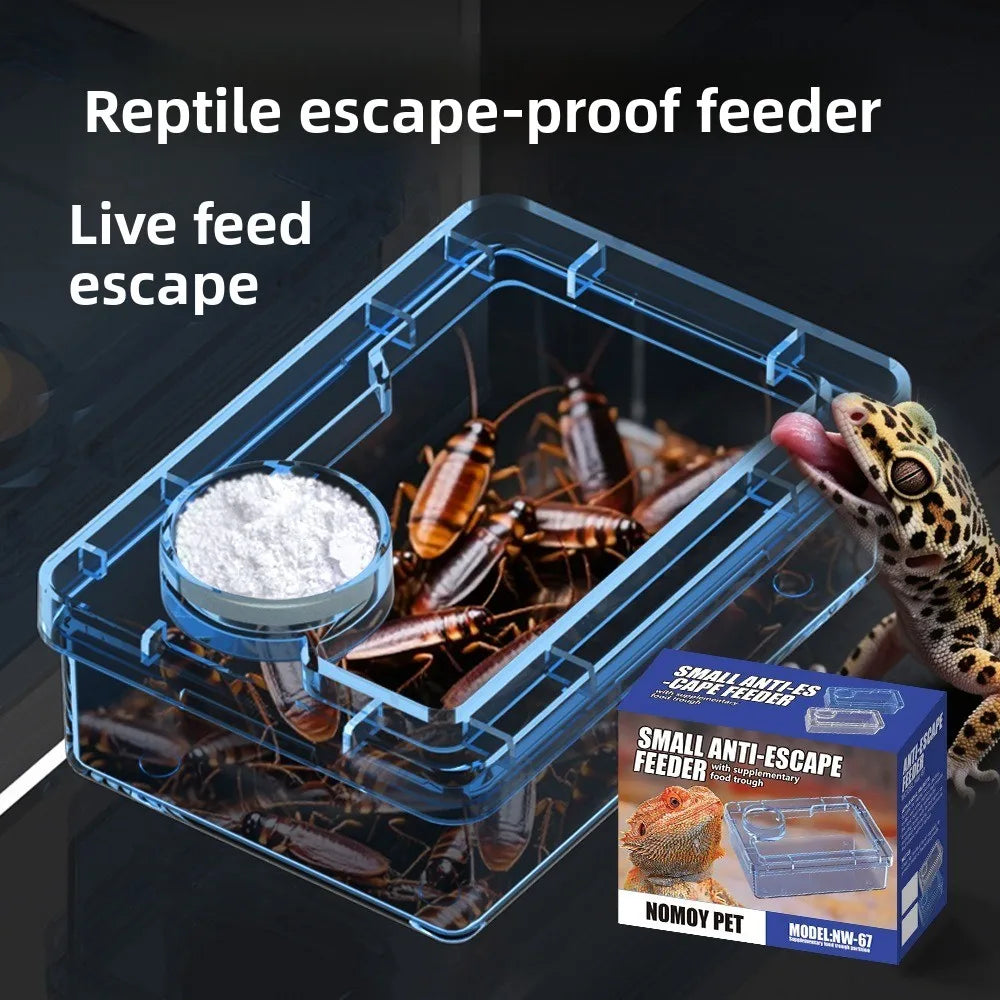 Transparent Reptile Insect Feeding Bowl