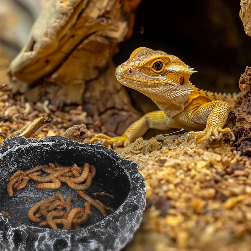 Stone-Look Reptile Food & Water Bowl