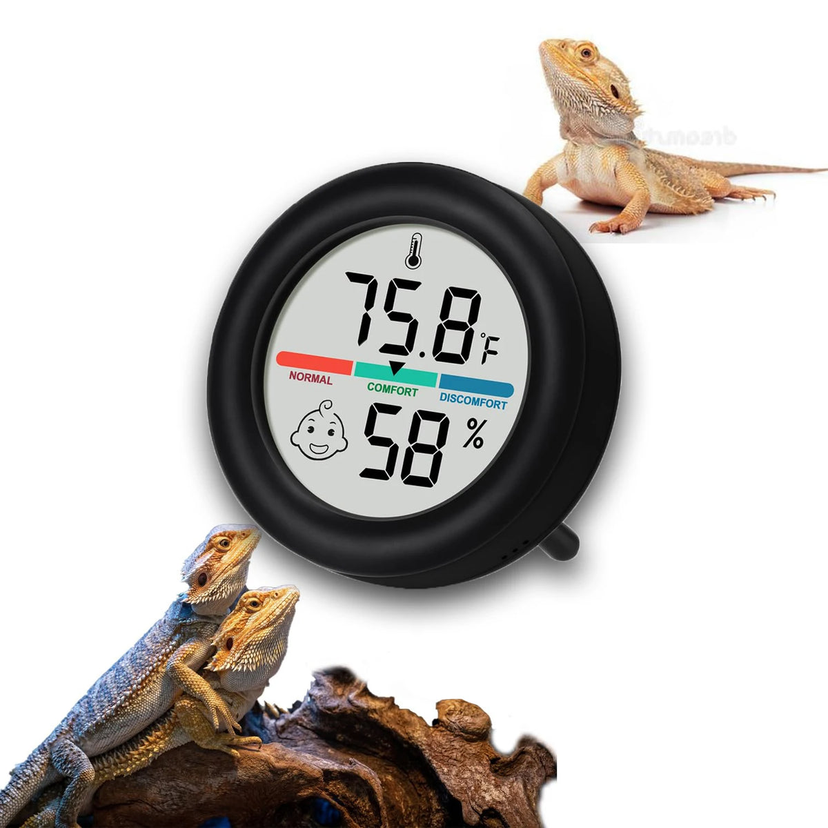 Digital Reptile Thermometer & Hygrometer