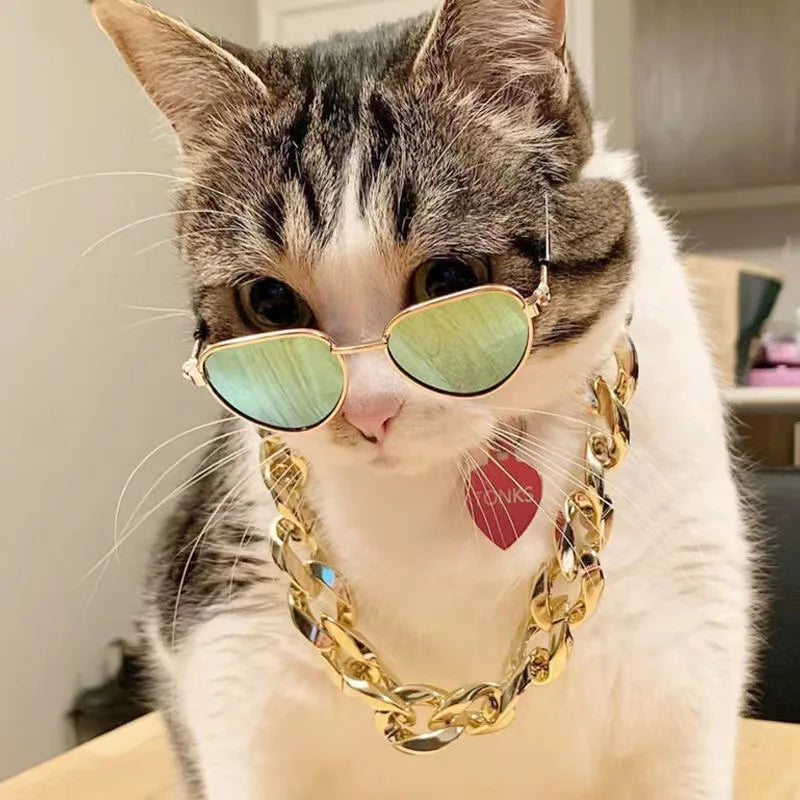 Playful Pet Sunglasses for Cats & Small Dogs