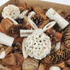 Campfire in the Woods Bird Foraging Toy Box – Enrichment Puzzle Toy for Parrots