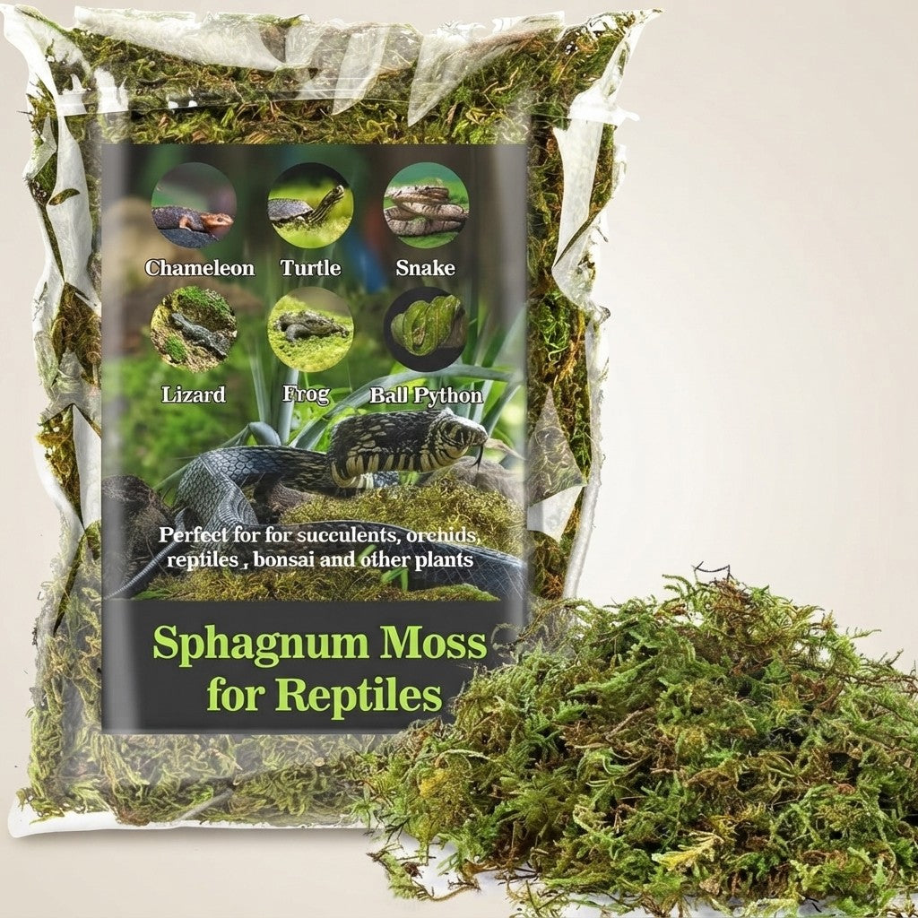 Sphagnum Moss for Reptiles – Natural Substrate for Humidity & Burrowing